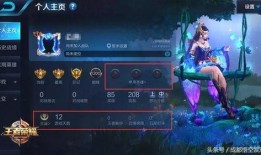 温情王者爆料视频大全,揭秘爆料视频背后的感人故事